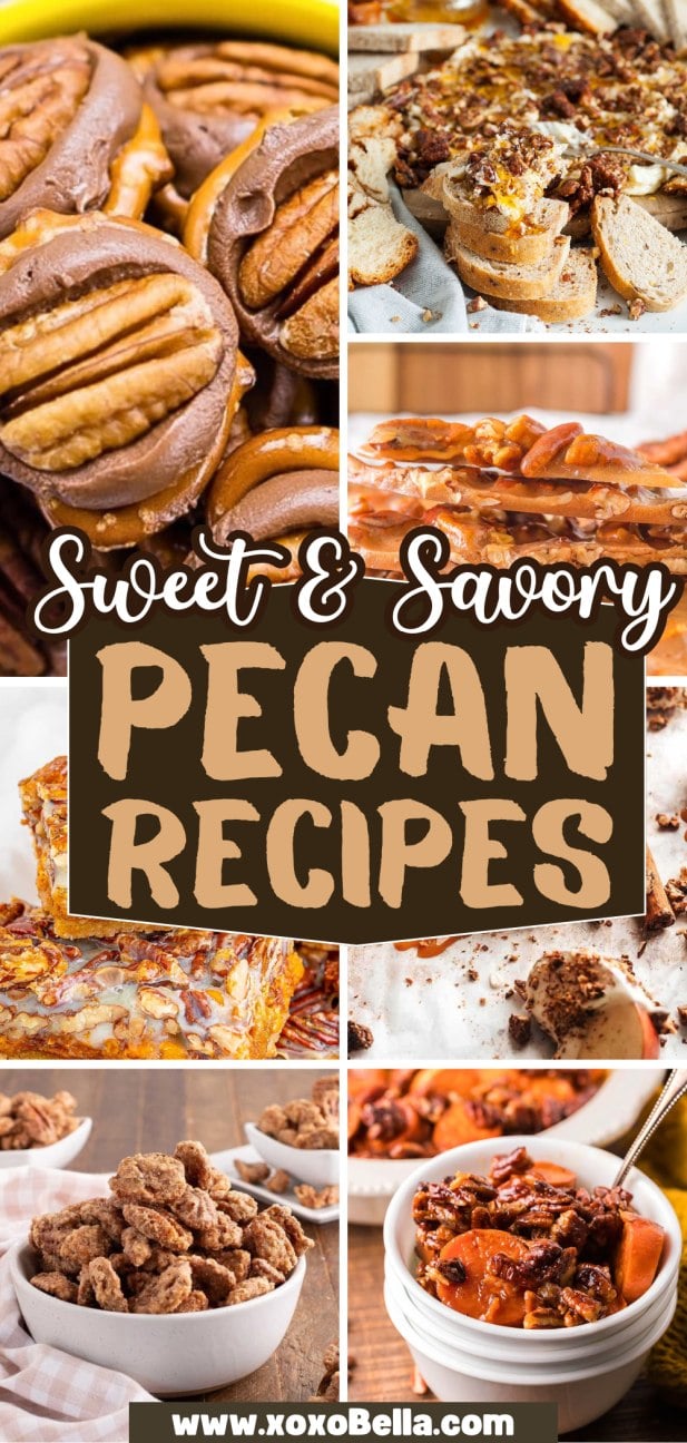 Collage of sweet and savory pecan recipes, including cookies, bars, nuts, and spreads artfully arranged on plates and bowls.