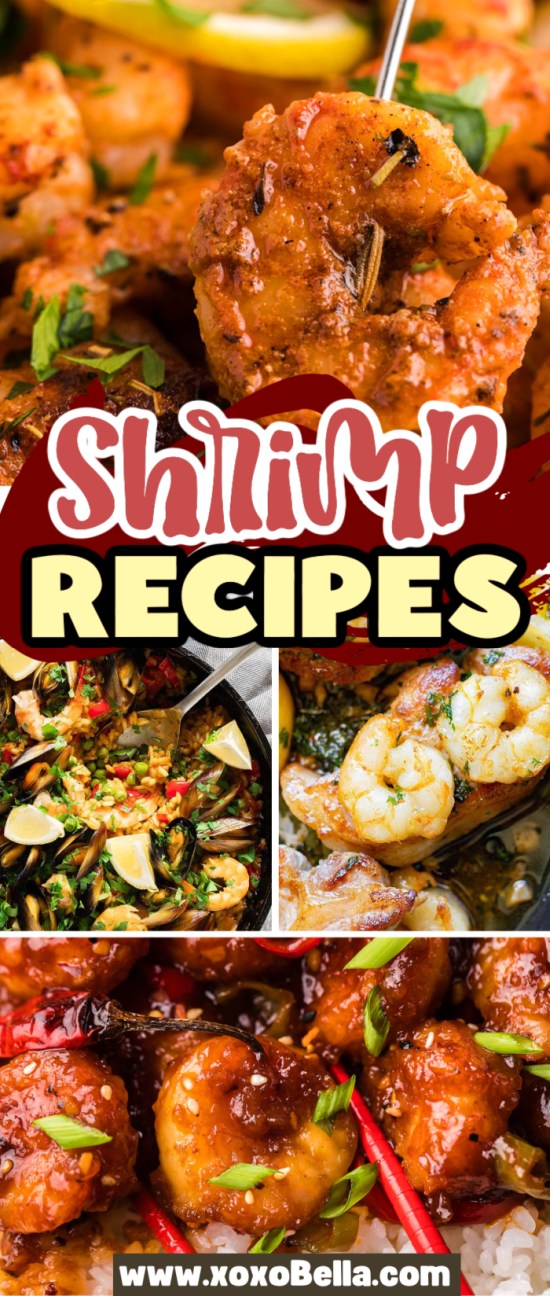 Collage of colorful shrimp dishes, perfect for anyone seeking delicious new shrimp recipes to try.