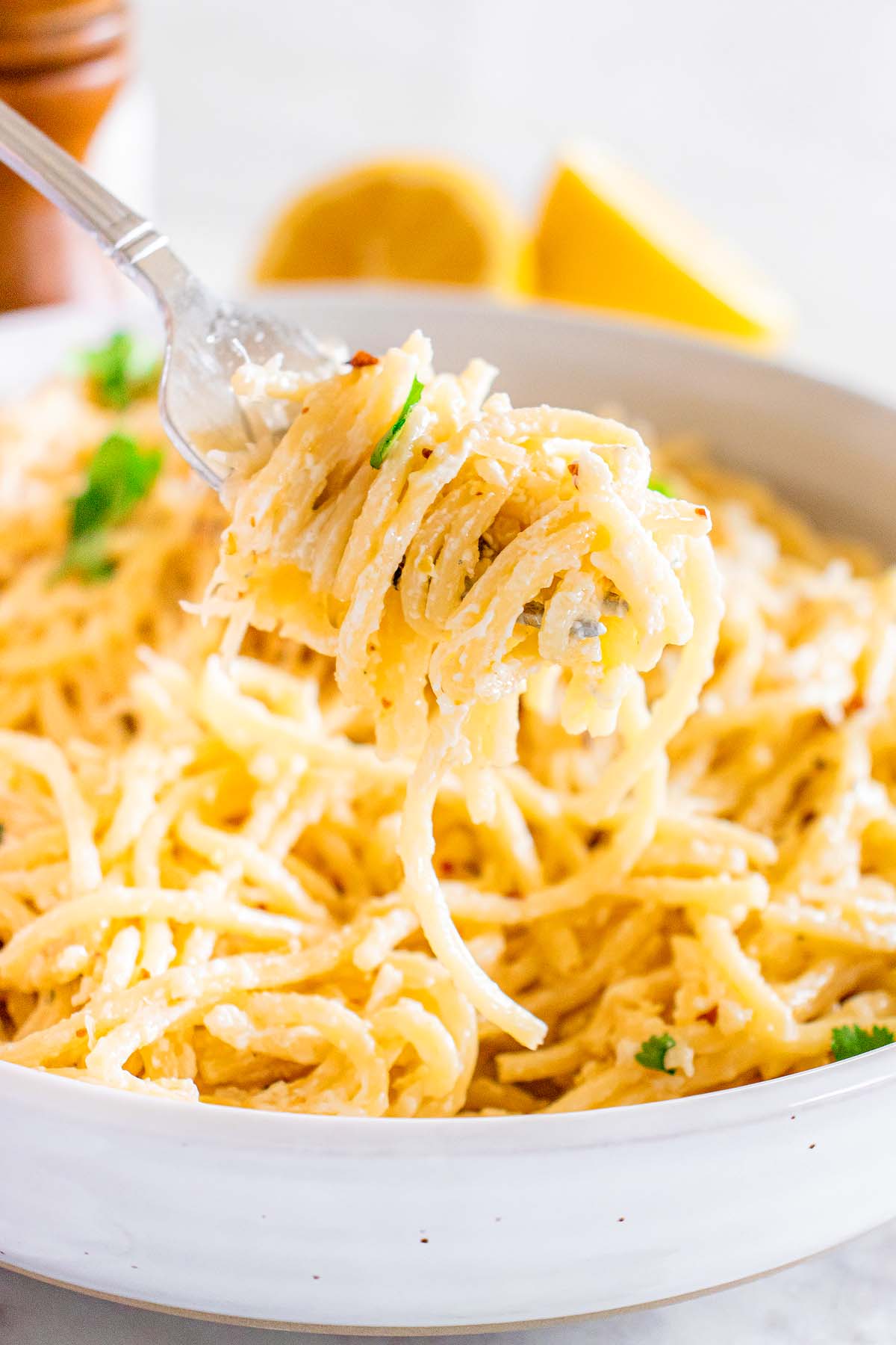 Creamy Lemon Pasta XoxoBella