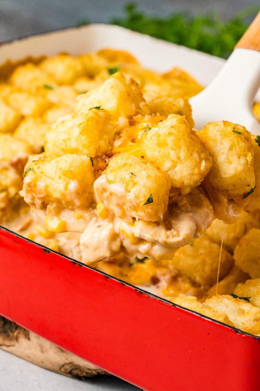 Chicken Tater Tot Casserole xoxoBella