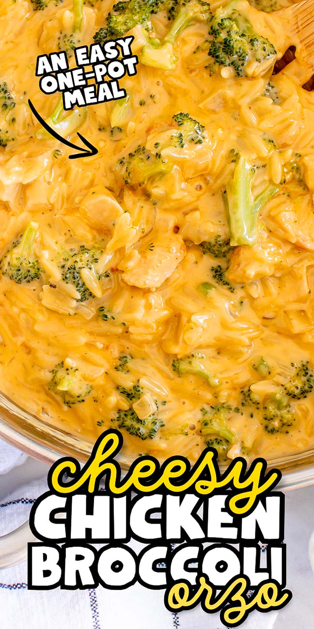 Cheesy Chicken Broccoli Orzo XoxoBella