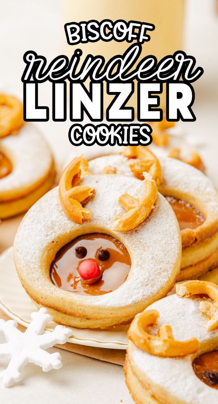 Festive reindeer Linzer cookies decorated with pretzel antlers, chocolate eyes, and red candy noses—perfect for holiday celebrations.