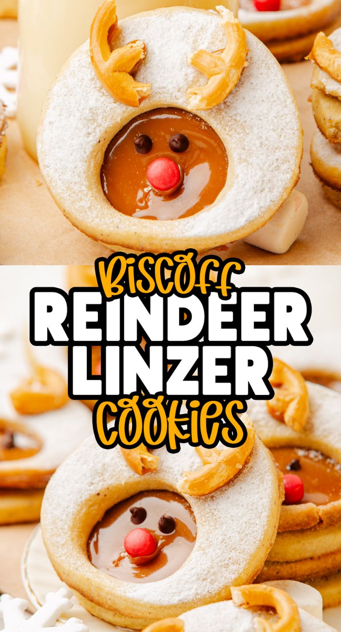 Adorable reindeer Linzer cookies with Biscoff centers, candy eyes, red noses, and pretzel antlers make a festive holiday treat.