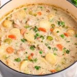 A pot of savory chicken stew brimming with creamy goodness, filled to the brim with carrots, peas, potatoes, and aromatic herbs sits enticingly on a white table.