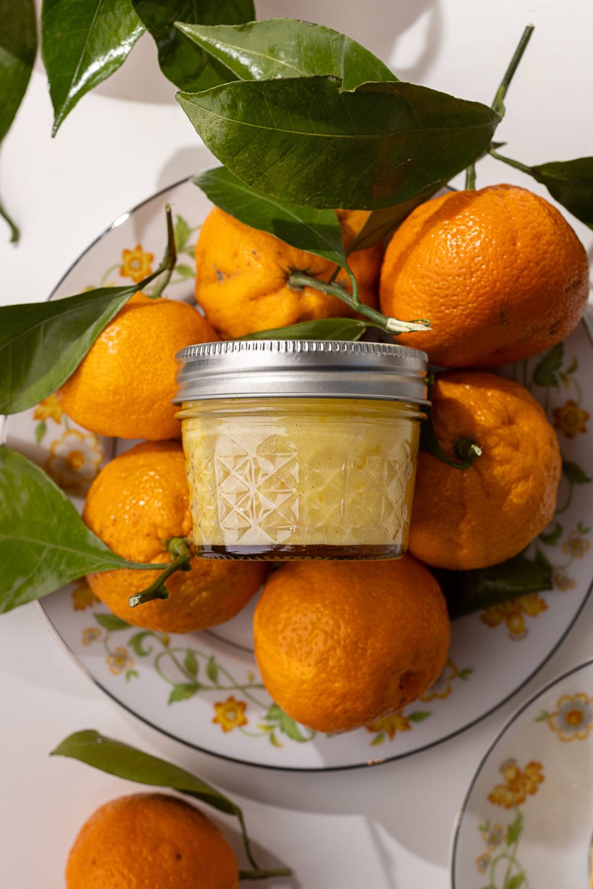 A jar of mandarin orange curd sits elegantly on a plate, surrounded by vibrant oranges and lush green leaves.