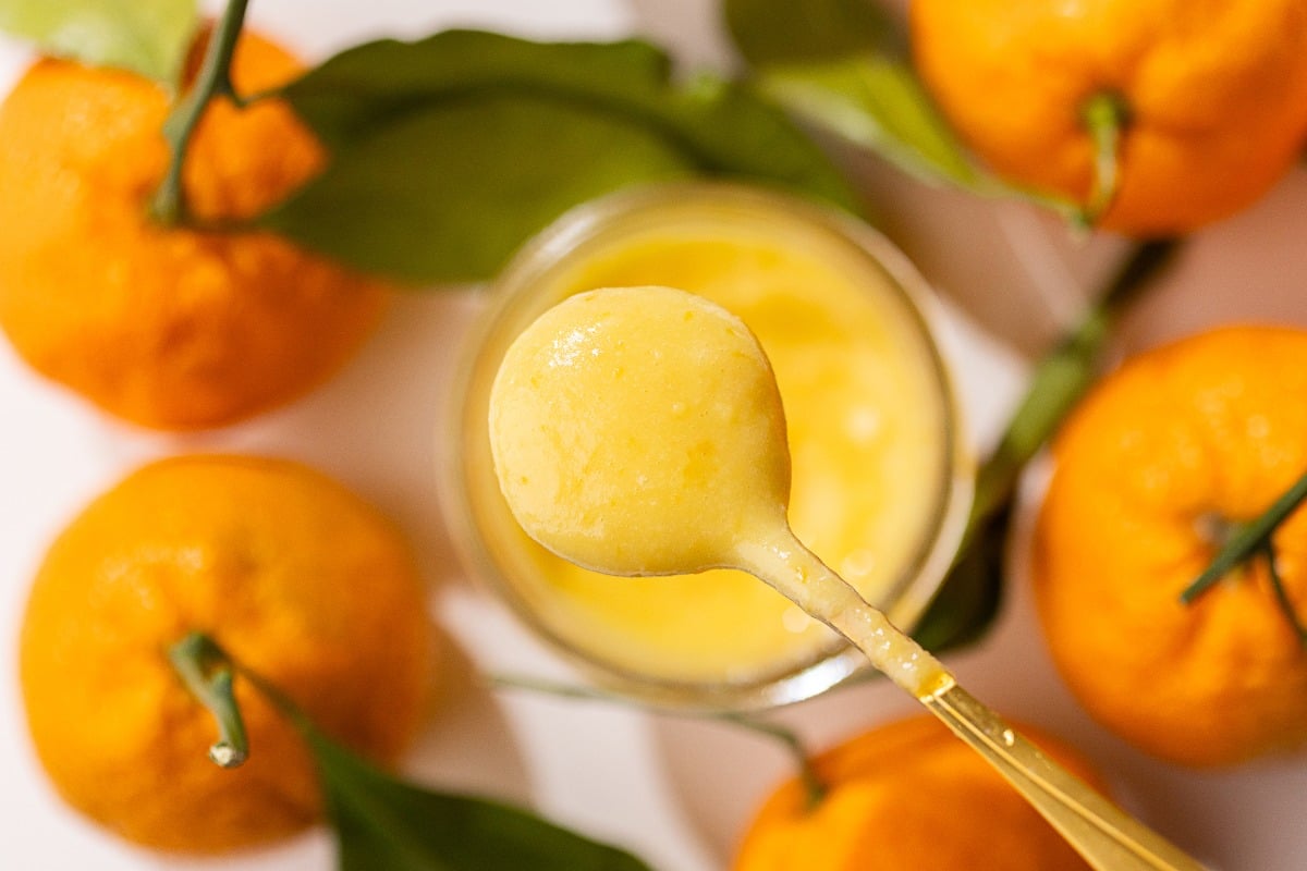 A spoon cradles a creamy mandarin orange curd.
