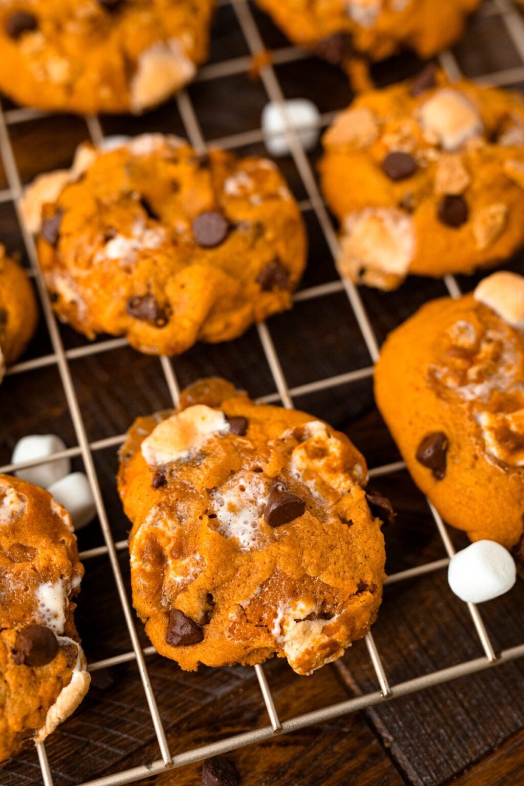 Pumpkin S'mores Cookies - xoxoBella