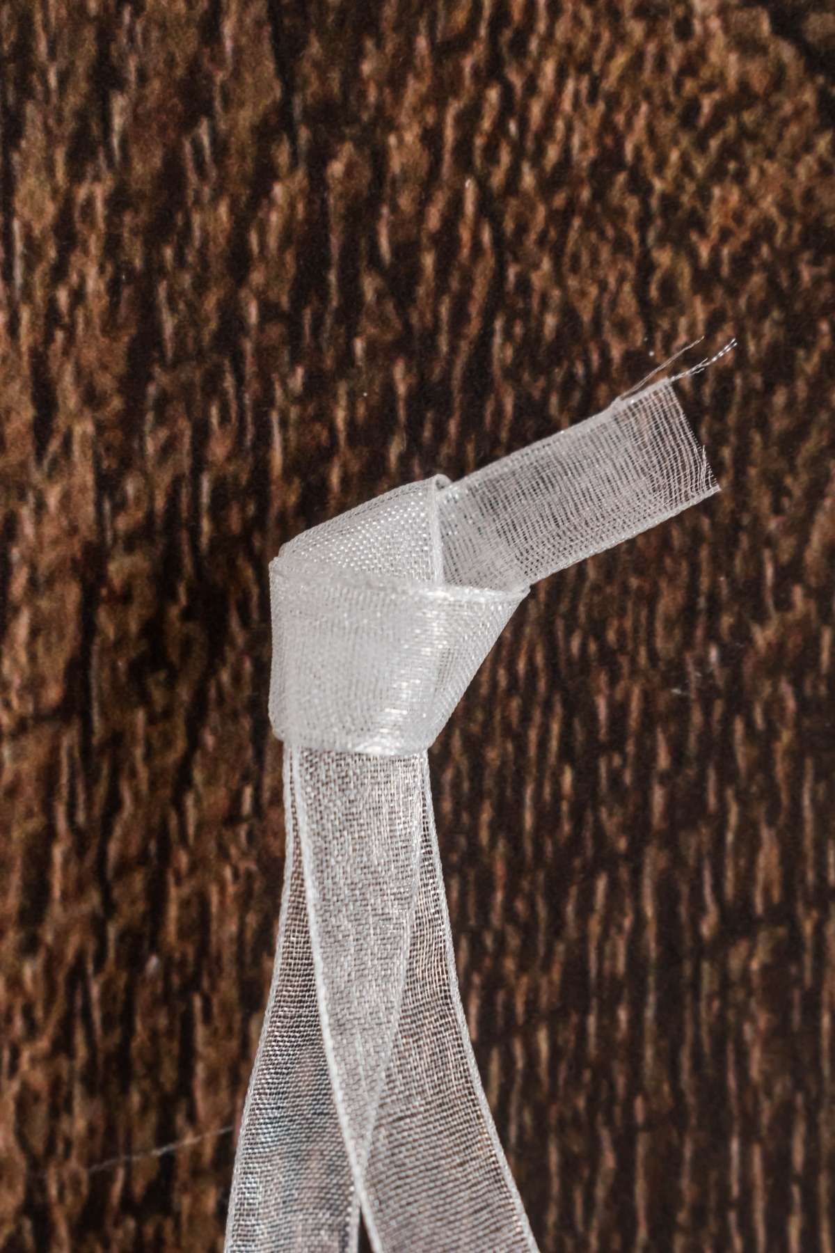 Close-up of a white, sheer ribbon tied into a knot against a dark wooden background.
