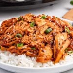 A plate of white rice crowned with slow-cooked, shredded teriyaki chicken, garnished with sesame seeds and green onions, accompanied by a spoon.