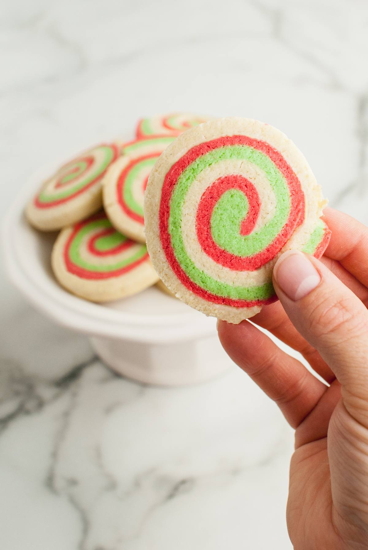 A hand holds a red, green, and white spiral sugar cookie above a plate of similar Gluten Free Pinwheel Cookies—perfect for festive gluten free holiday baking.