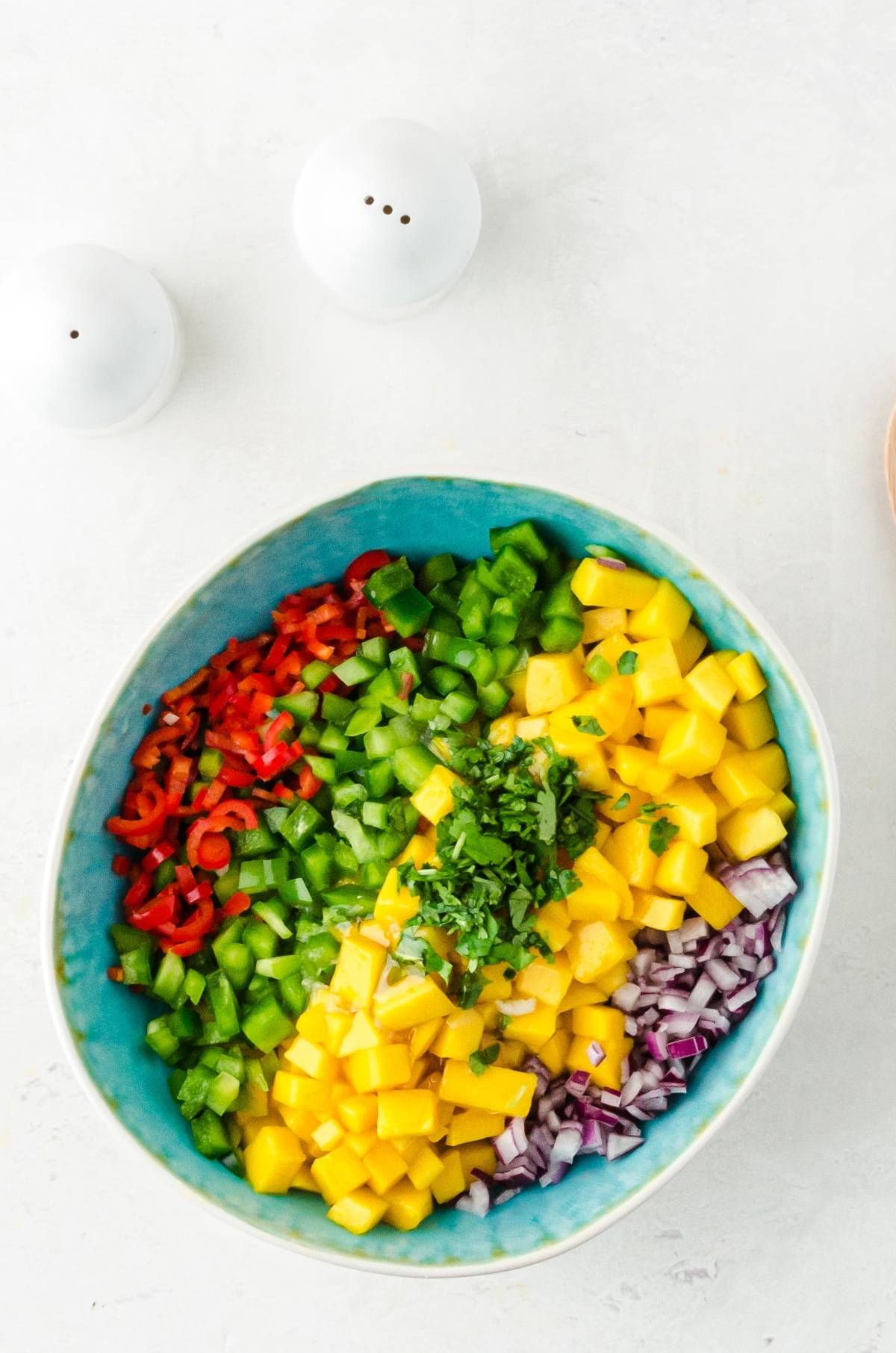 A bowl of diced mango, red bell pepper, green bell pepper, red onion, and cilantro—this vibrant Mexican fruit salsa is perfectly seasoned with salt and pepper shakers on the side.