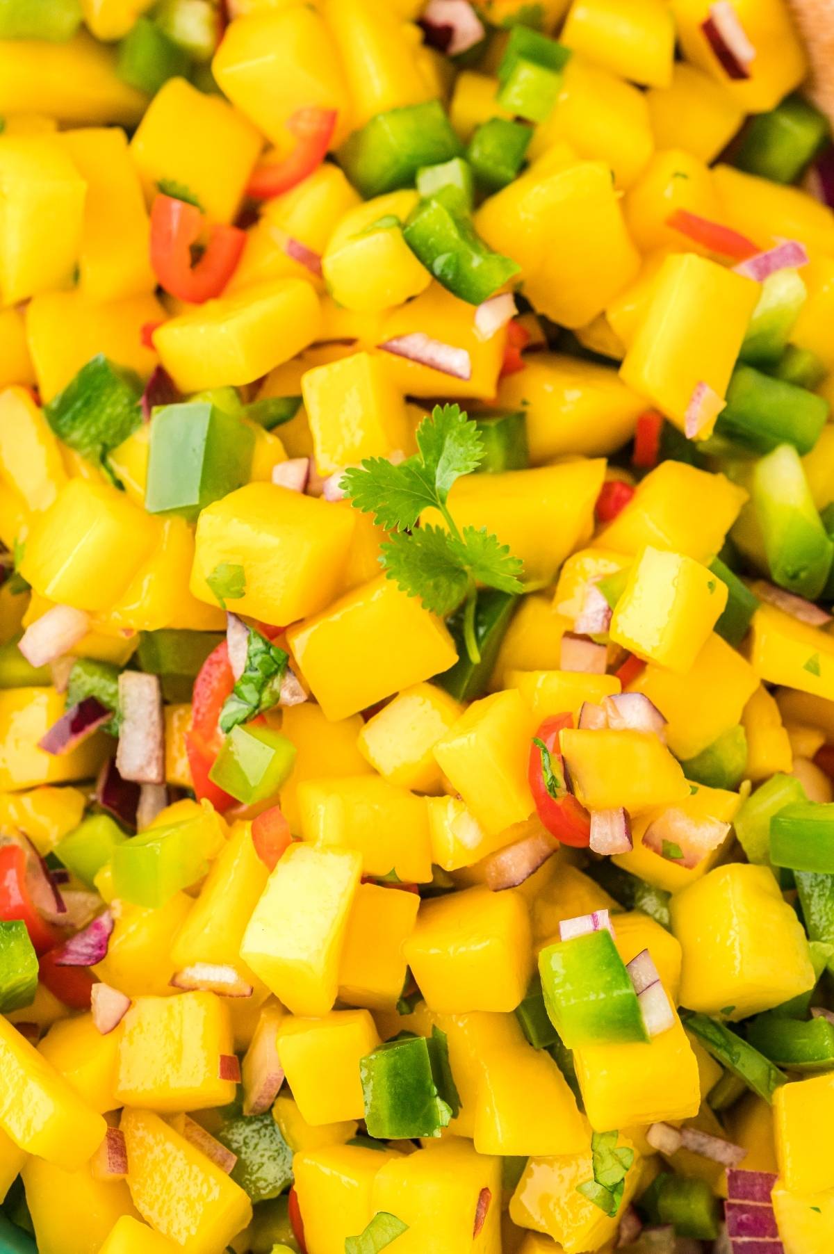 Close-up of vibrant mango salsa with green peppers, red onions, cilantro, and red chili peppers—a perfect Mexican fruit salsa for any summer gathering.