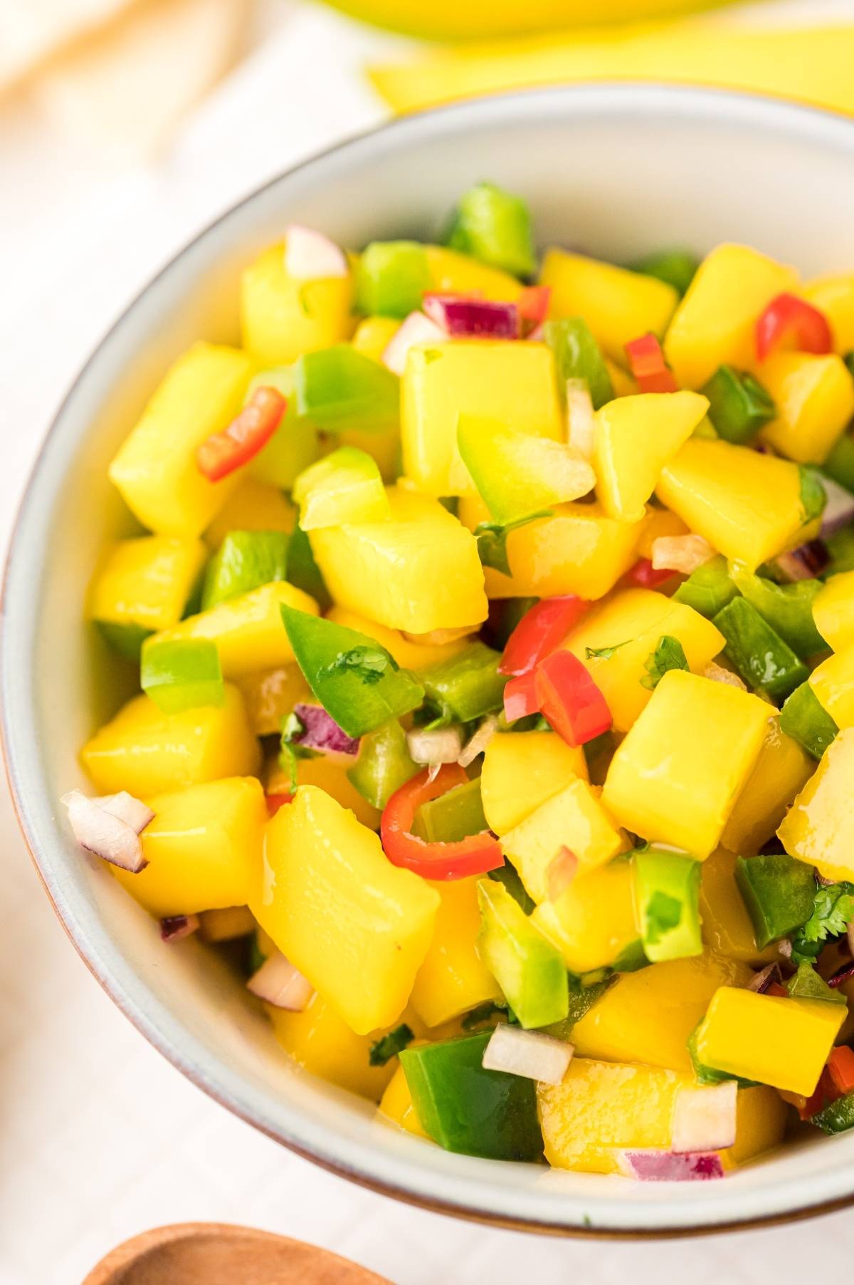 A vibrant Mexican fruit salsa, this recipe with mangoes features diced mango, red onion, green pepper, and red chili slices for a refreshing burst of flavor.