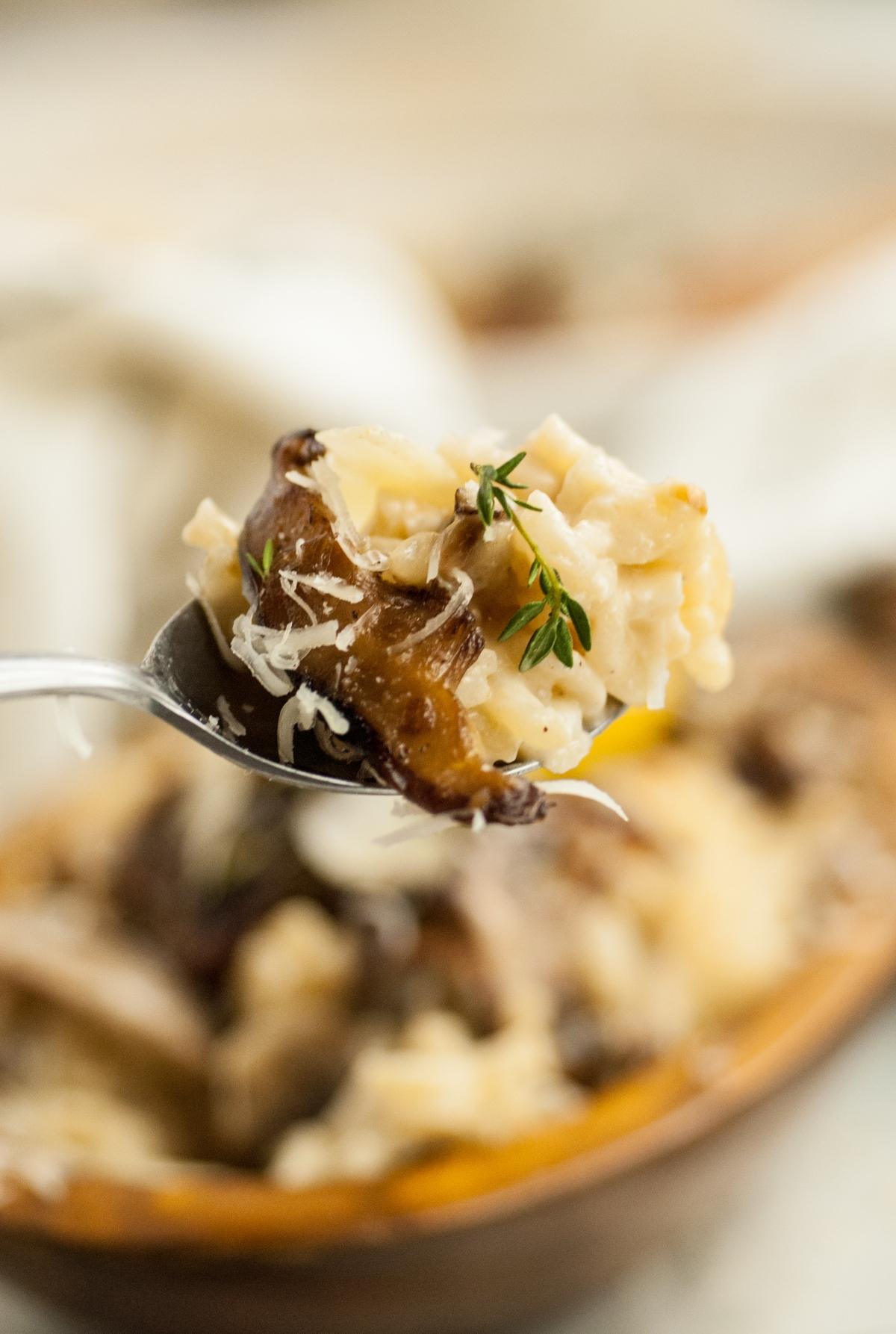 A close-up of a fork holding creamy mushroom risotto made with shiitake and cremini (baby bella) mushrooms, topped with fresh thyme and grated cheese. A perfect side dish for chicken or turkey.