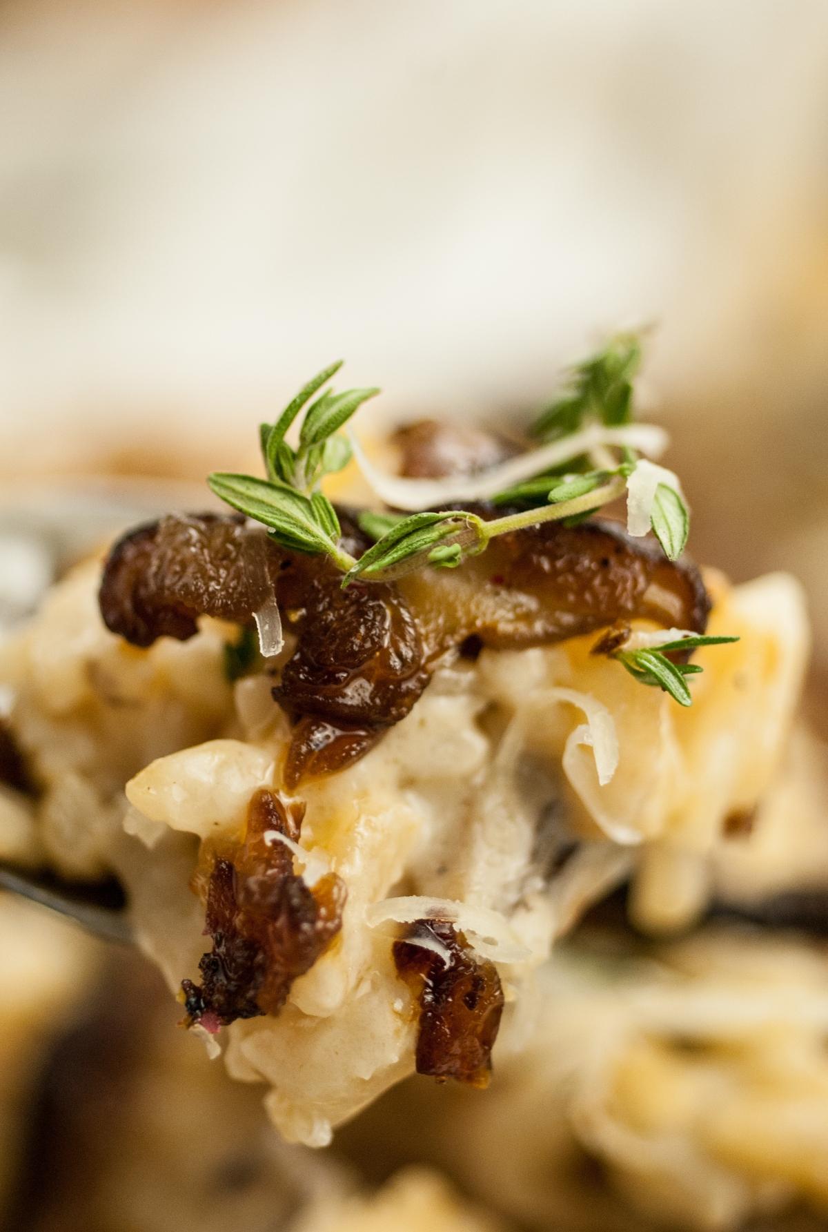 Close-up of creamy pasta topped with caramelized onions and fresh thyme sprigs—a perfect side dish for chicken or turkey, pairing beautifully with white wine or Chardonnay.