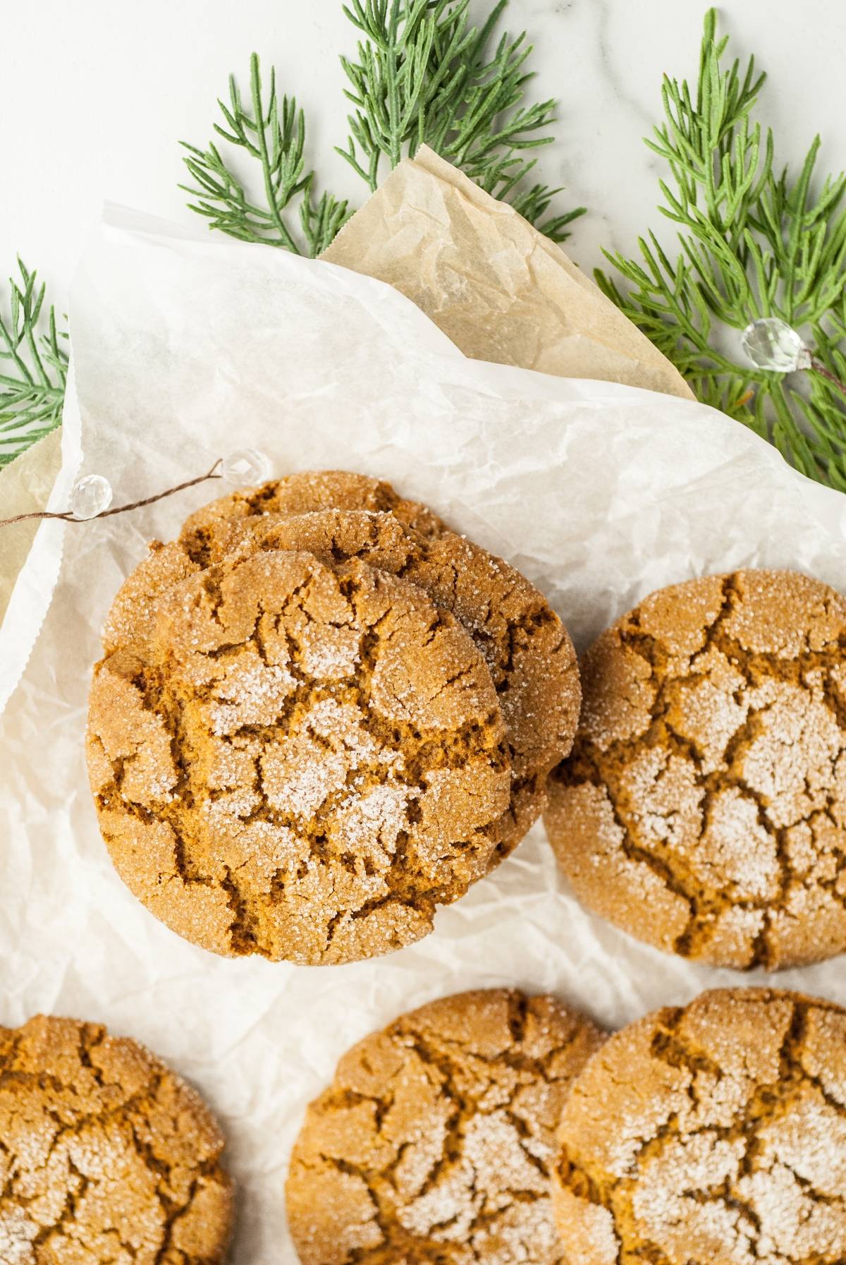 Five sugar-dusted gingersnap molasses cookies rest on parchment paper, with evergreen sprigs in the background—a scene reminiscent of enjoying homemade Starbucks Christmas cookies.