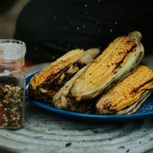 Three campfire grilled corn on the cob rest on a blue plate beside a spice jar and seasoning container.