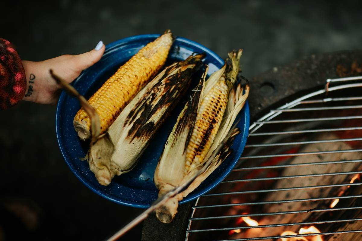 A person holds a blue plate with three grilled corncobs next to a barbecue grill.