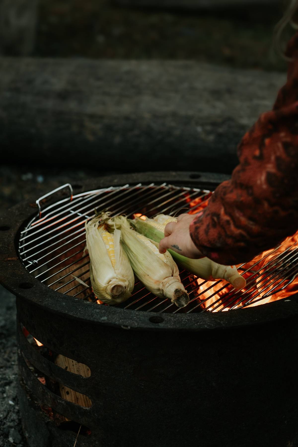 A person grilling corn in husks over an open fire with one hand reaching toward the corn.
