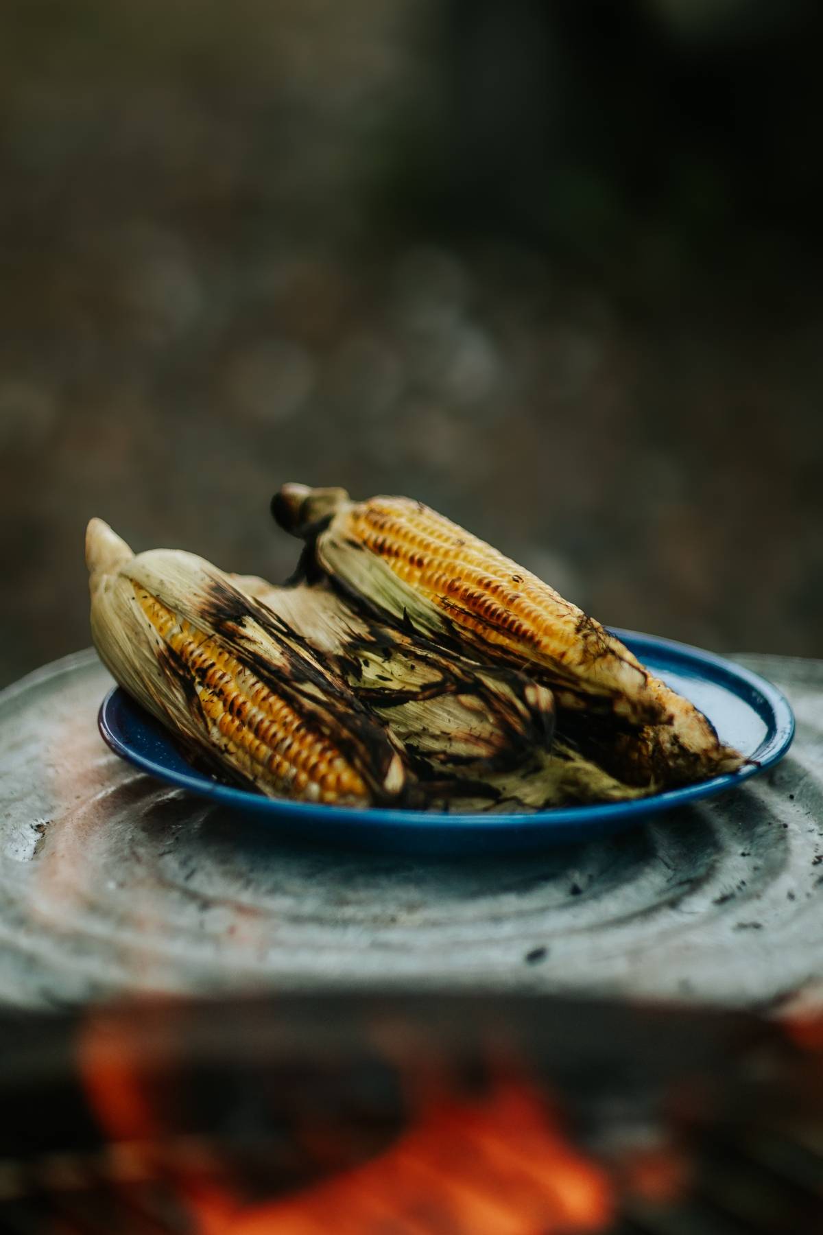Two charred ears of corn in husks on a blue plate, resting on a metal surface near a campfire.
