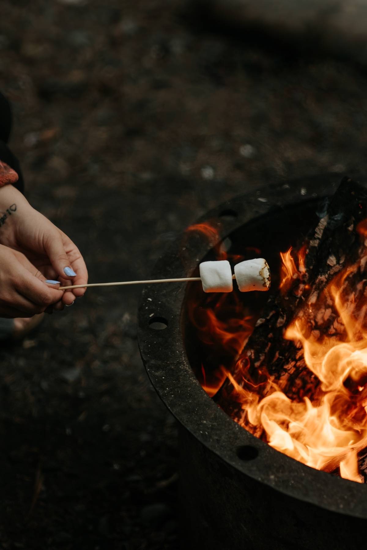 A person roasts two marshmallows on a stick over a campfire.