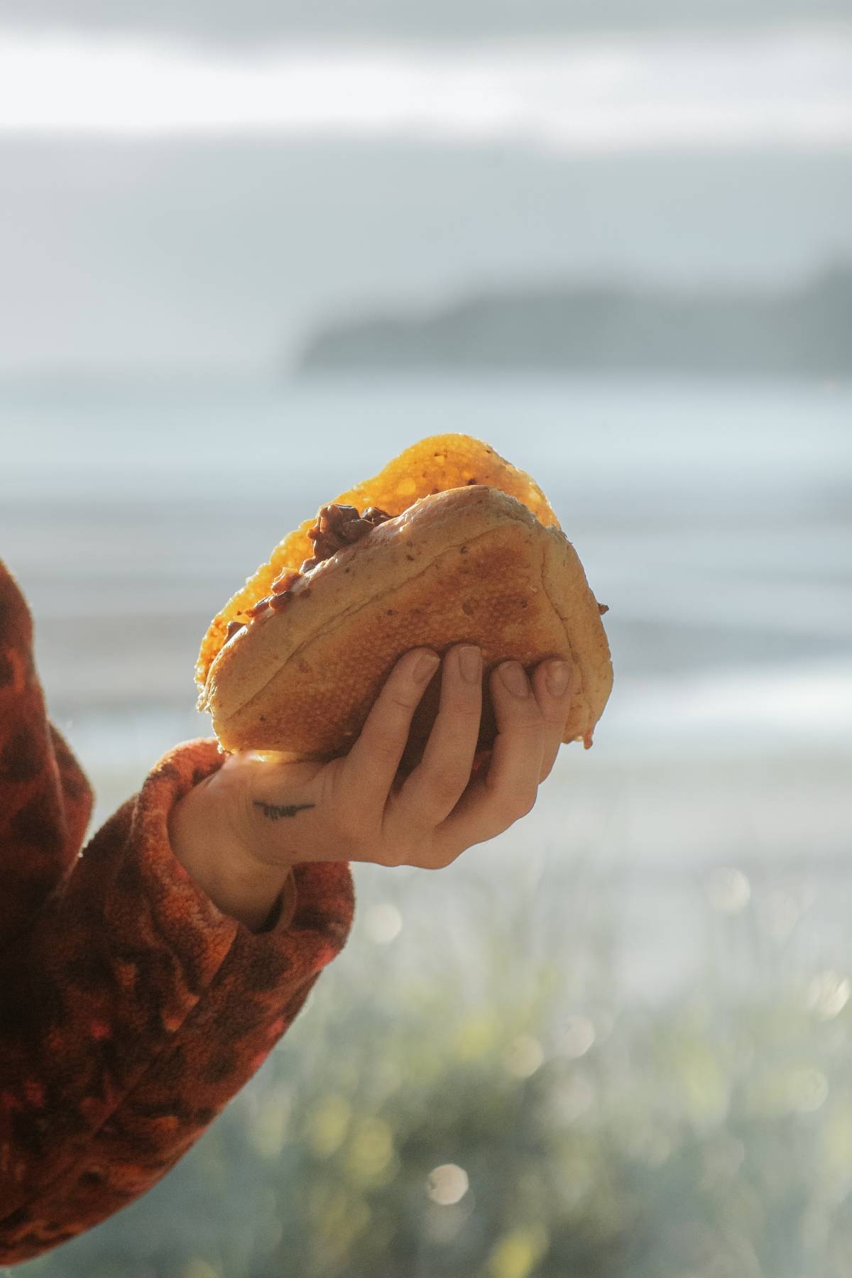 A hand holding a sandwich in front of a blurred, scenic outdoor background with water and hills.