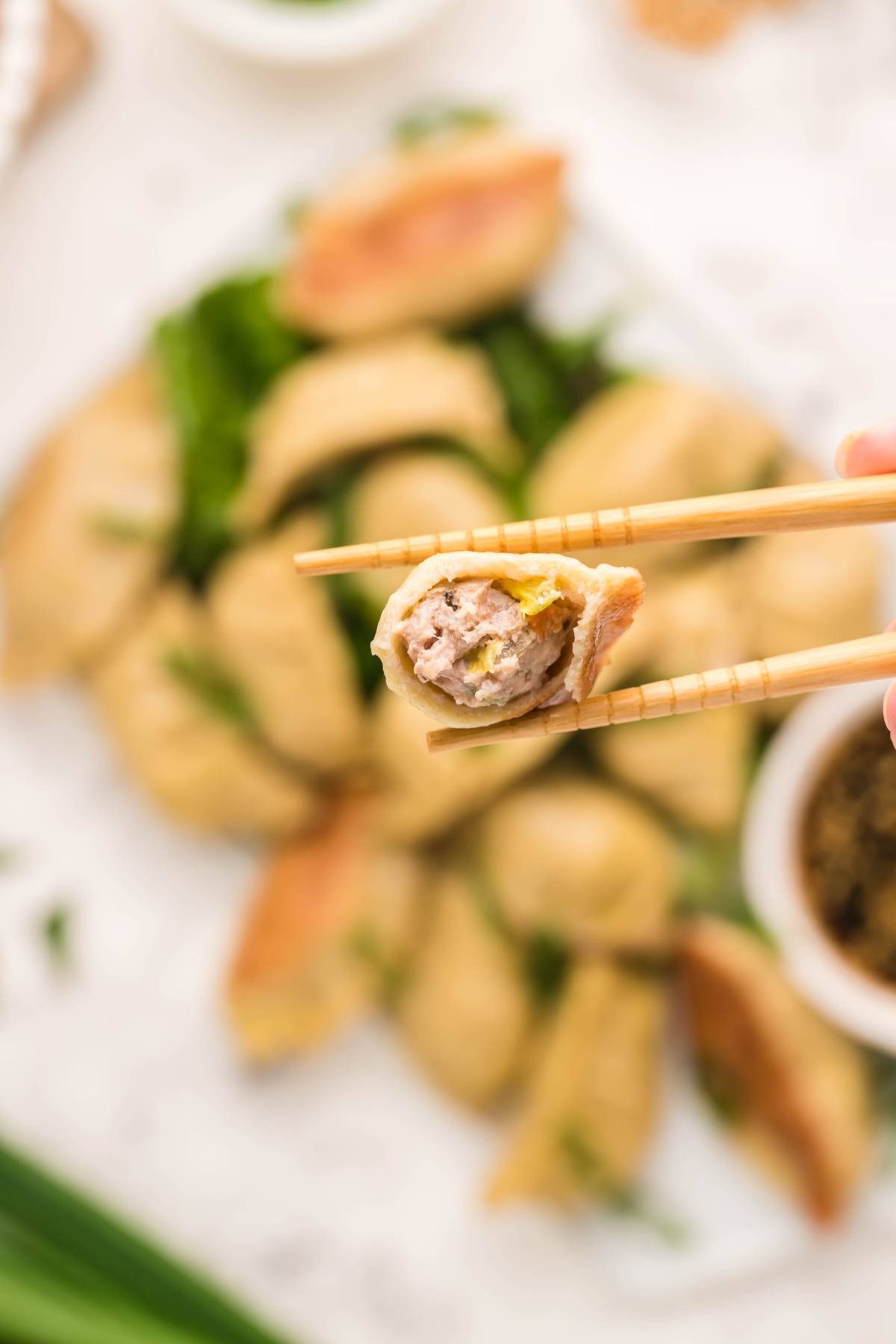 Close-up of chopsticks holding a gluten free potsticker with meat filling, with more dumplings blurred in the background.