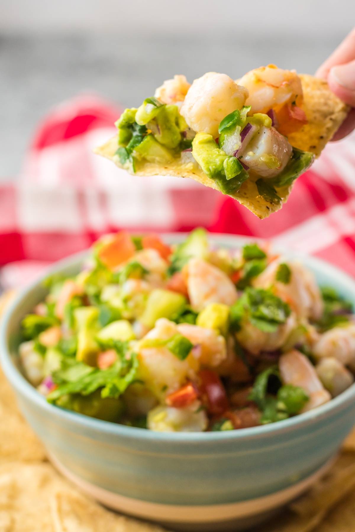A tortilla chip topped with Mexican ceviche made from a recipe with fresh shrimp is held above a bowl filled with more ceviche.