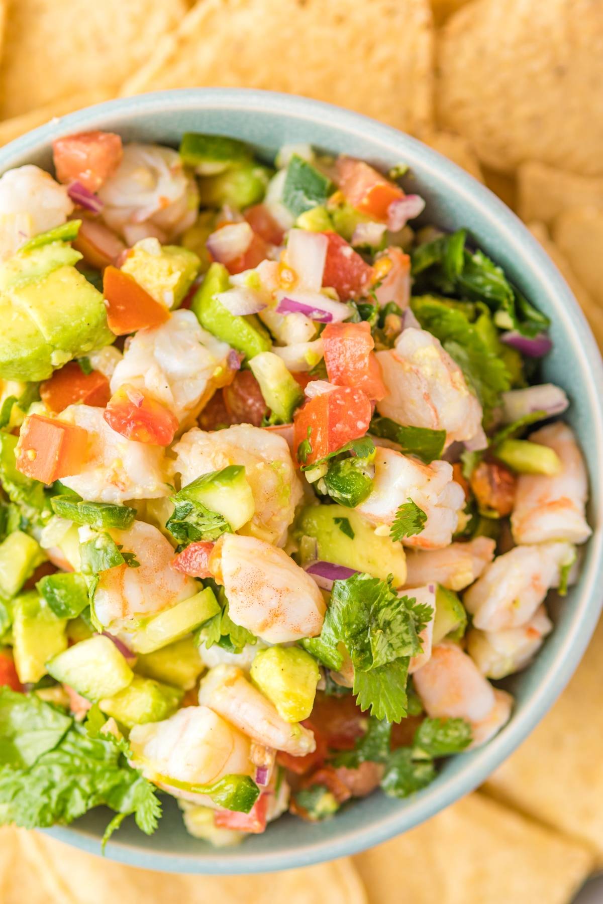 A bowl of Mexican ceviche made with fresh shrimp, avocado, tomatoes, onions, and cilantro, surrounded by crispy tortilla chips.