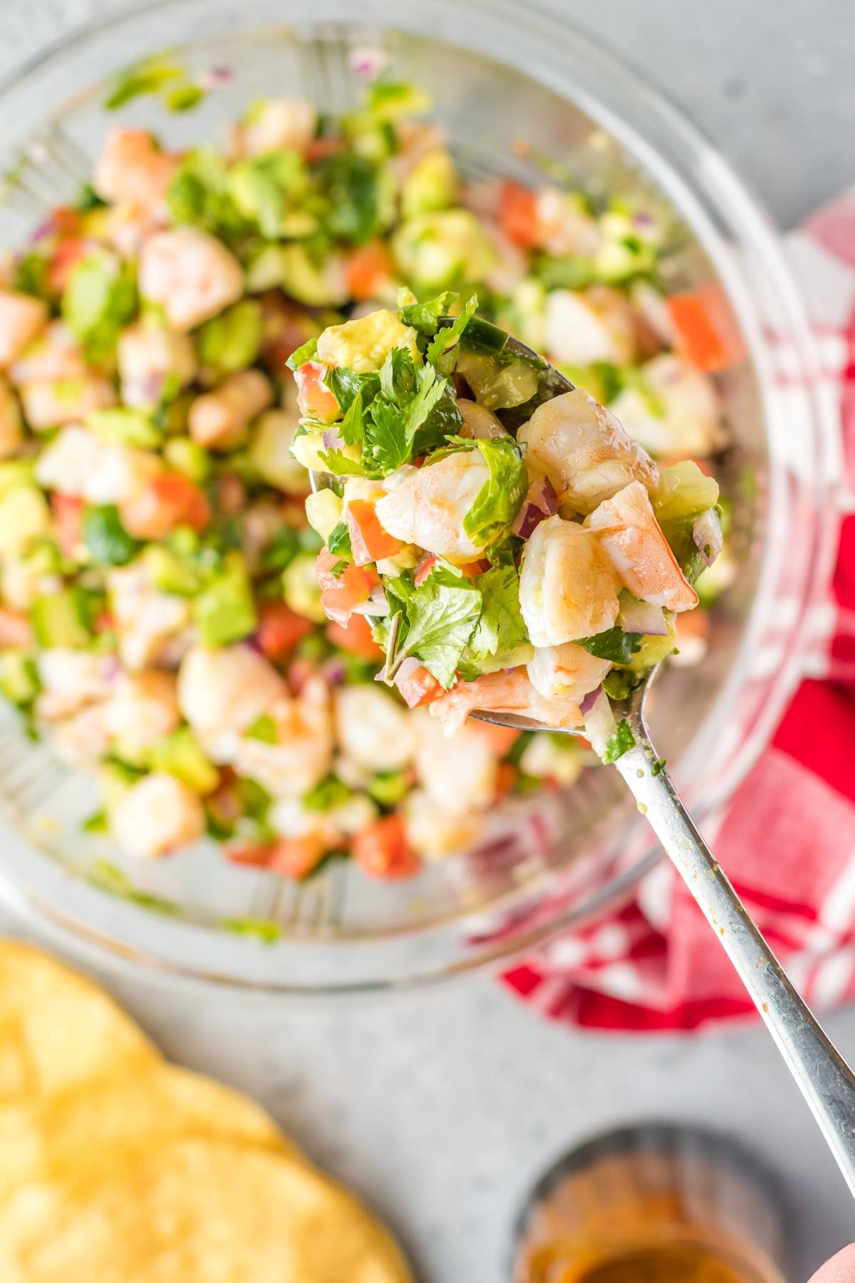 A spoonful of Mexican ceviche with cilantro, tomato, and avocado held above a bowl—this delicious seafood ceviche recipe features the freshest shrimp for vibrant flavor in every bite.