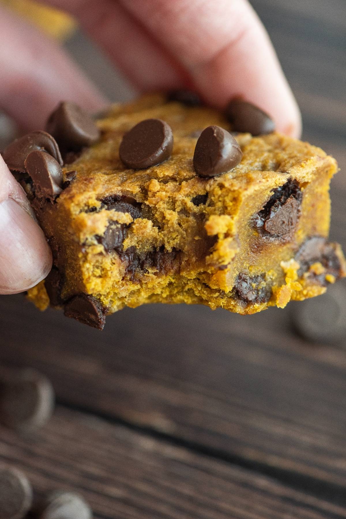 A hand holding a bitten pumpkin chocolate chip bar over a wooden surface, proving just how perfectly pumpkin and chocolate go together.
