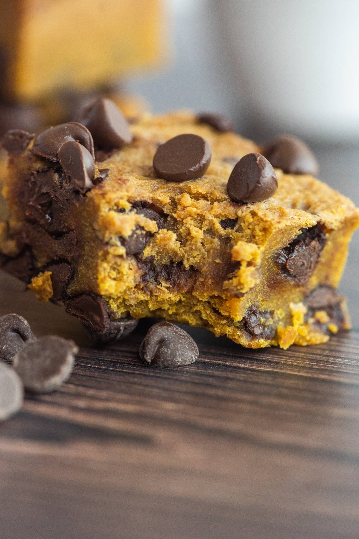 A close-up of pumpkin chocolate chip bars with chocolate chips on top and scattered nearby, perfect for anyone craving an easy pumpkin squares recipe.
