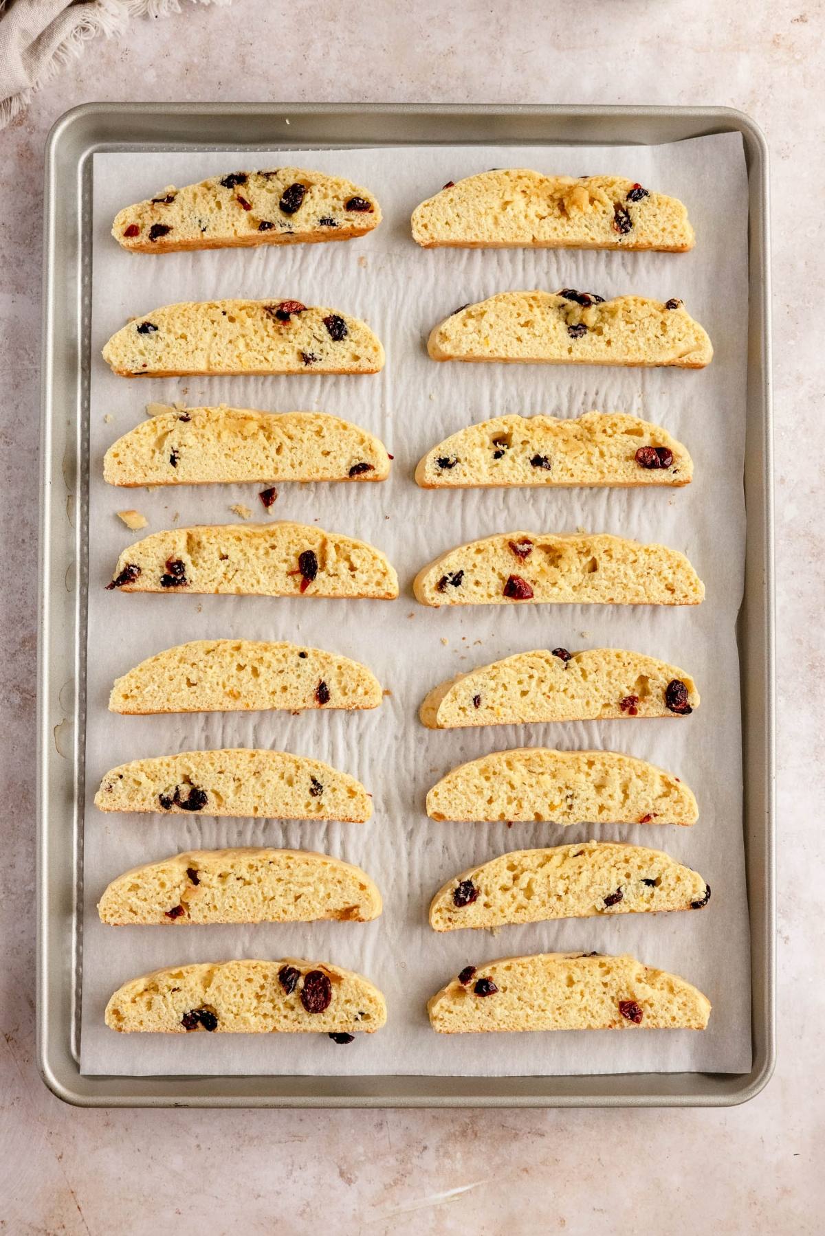 A baking tray with 16 cranberry orange biscotti slices containing dried fruit on parchment paper.