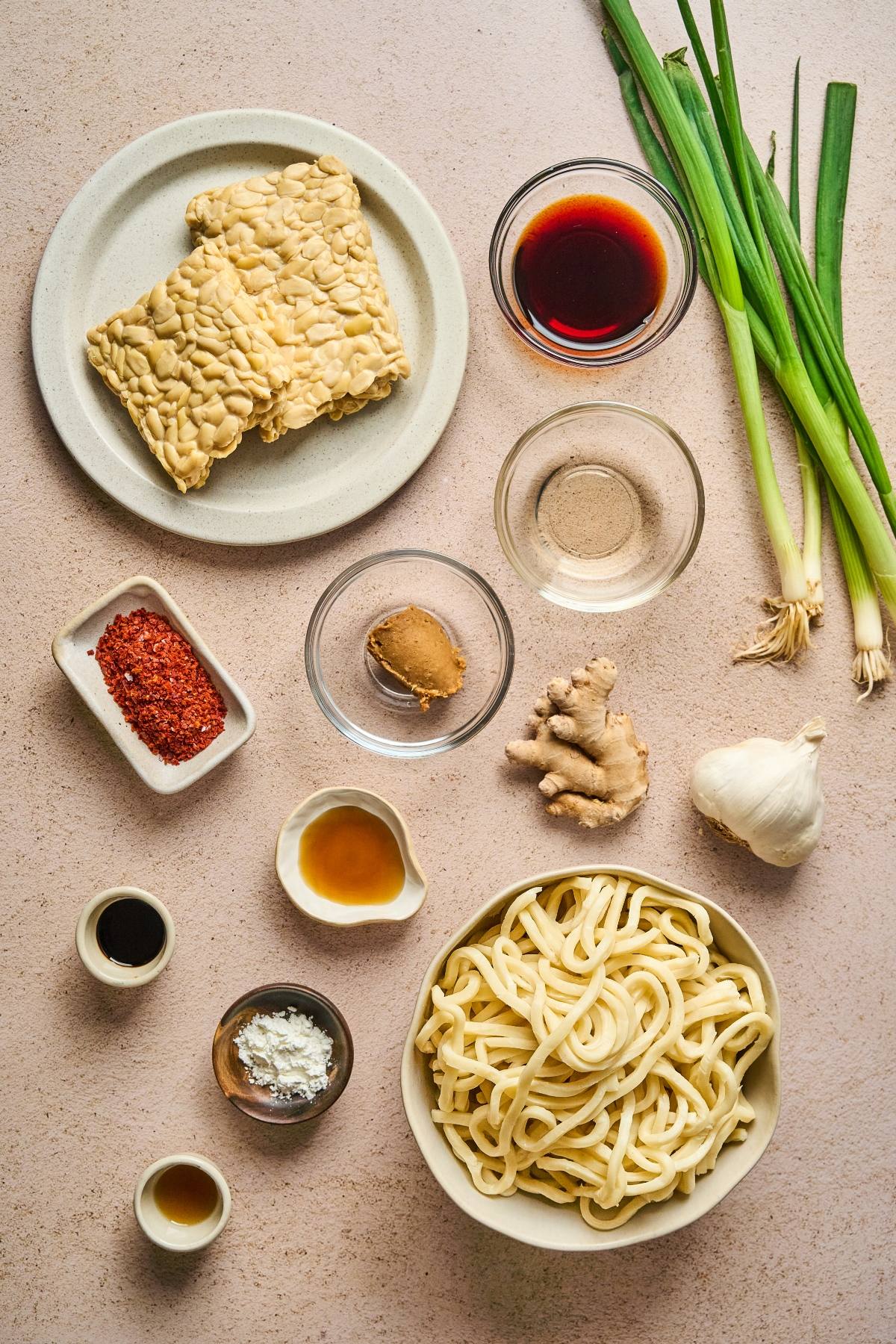 Udon noodles, tempeh, scallions, garlic, ginger, sauces, miso, chili flakes, and seasonings on a table.