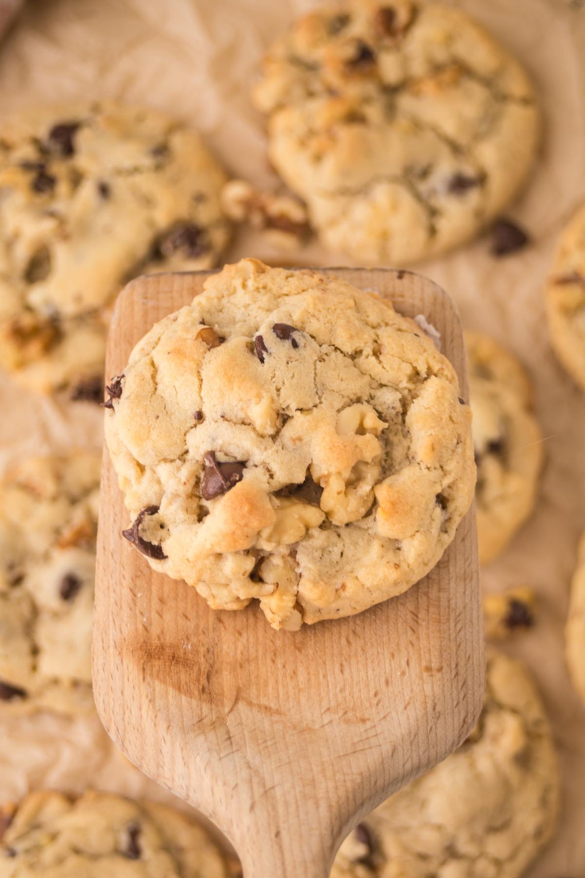 A close-up of a chocolate chip cookie with nuts on a wooden spatula, surrounded by more cookies.