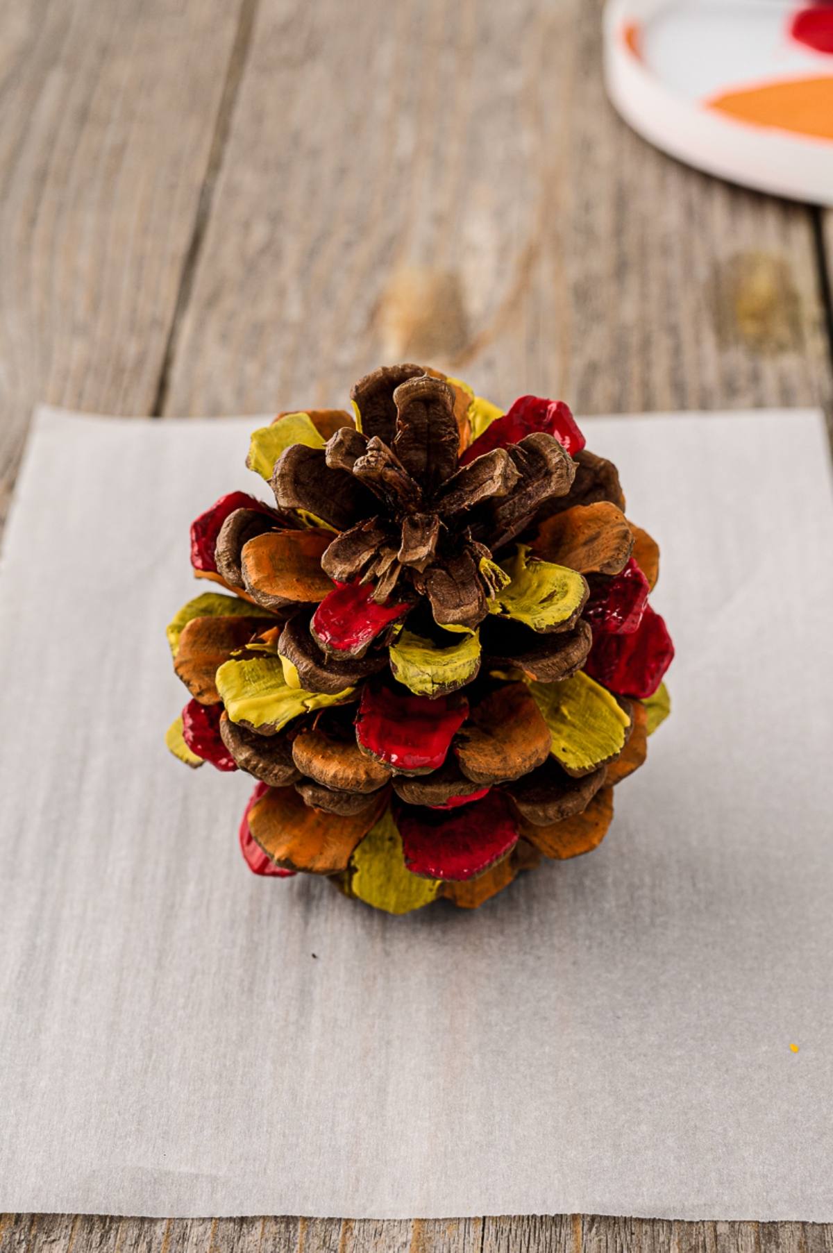 A pine cone with red and yellow tips sits on a white sheet atop a wooden surface.