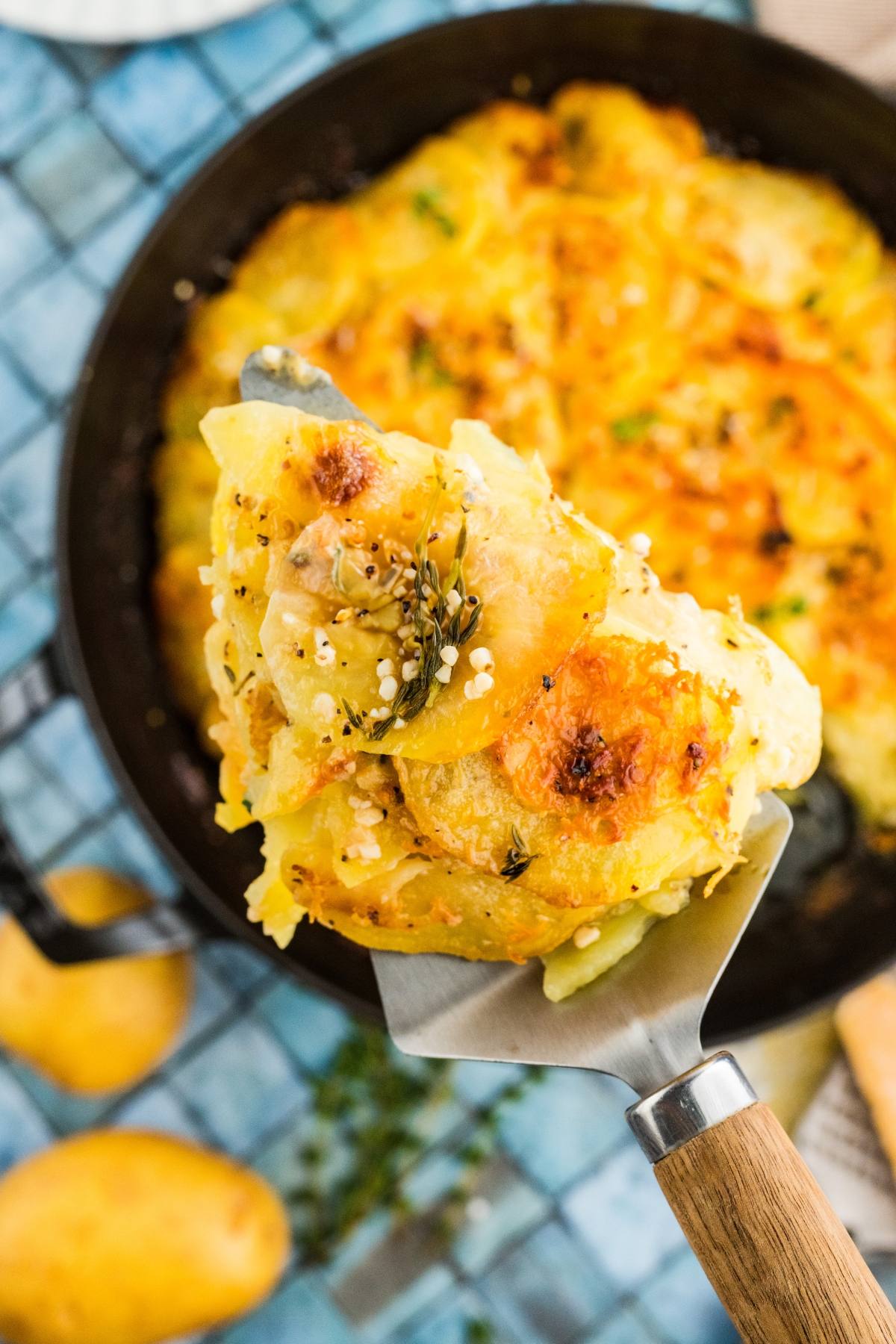 A serving of cheesy potato galette on a spatula above a baking dish, garnished with herbs.