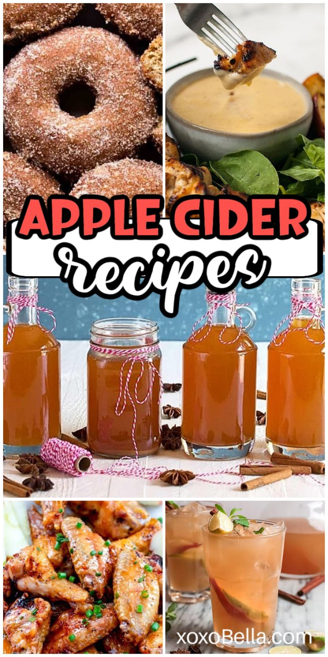 A variety of apple cider drinks, hot and cold, shown in mugs and glasses with seasonal garnishes like cinnamon sticks and citrus slices.