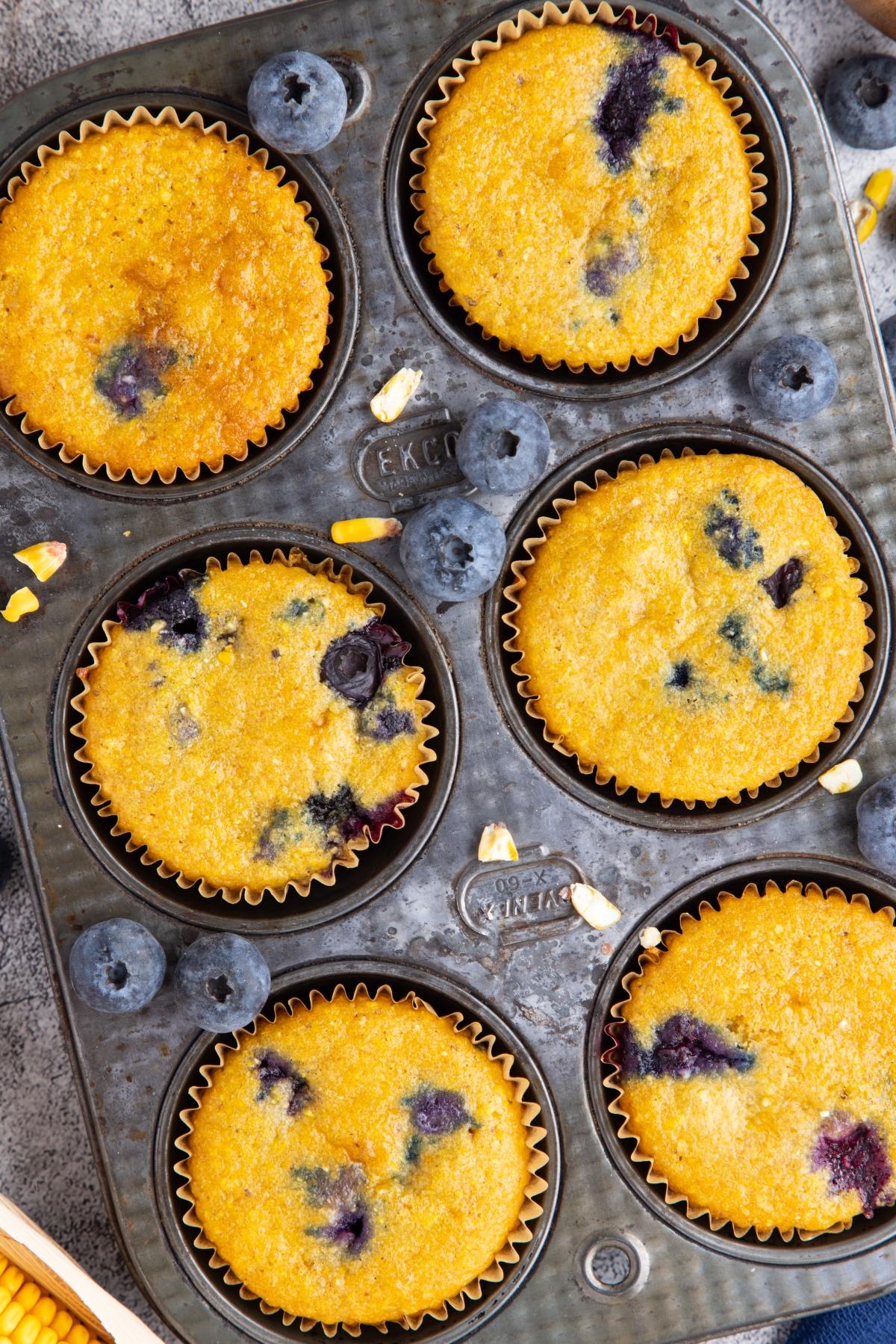 Freshly baked blueberry corn muffins in a muffin tin, with loose blueberries scattered nearby.