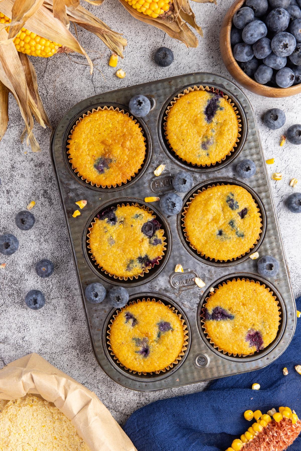 Six blueberry corn muffins in a metal baking tray, surrounded by fresh blueberries and corn kernels.