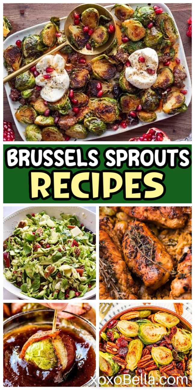 A mix of Brussels sprouts dishes including roasted, sautéed and salad versions on plates and serving bowls.
