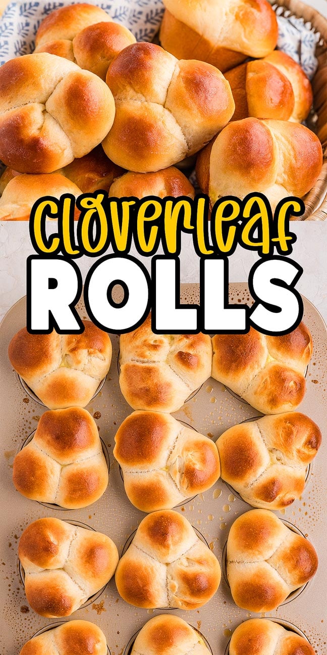 Golden brown cloverleaf rolls in a basket and muffin pan, with large text reading "Cloverleaf Rolls" showcasing these classic, fluffy cloverleaf rolls.