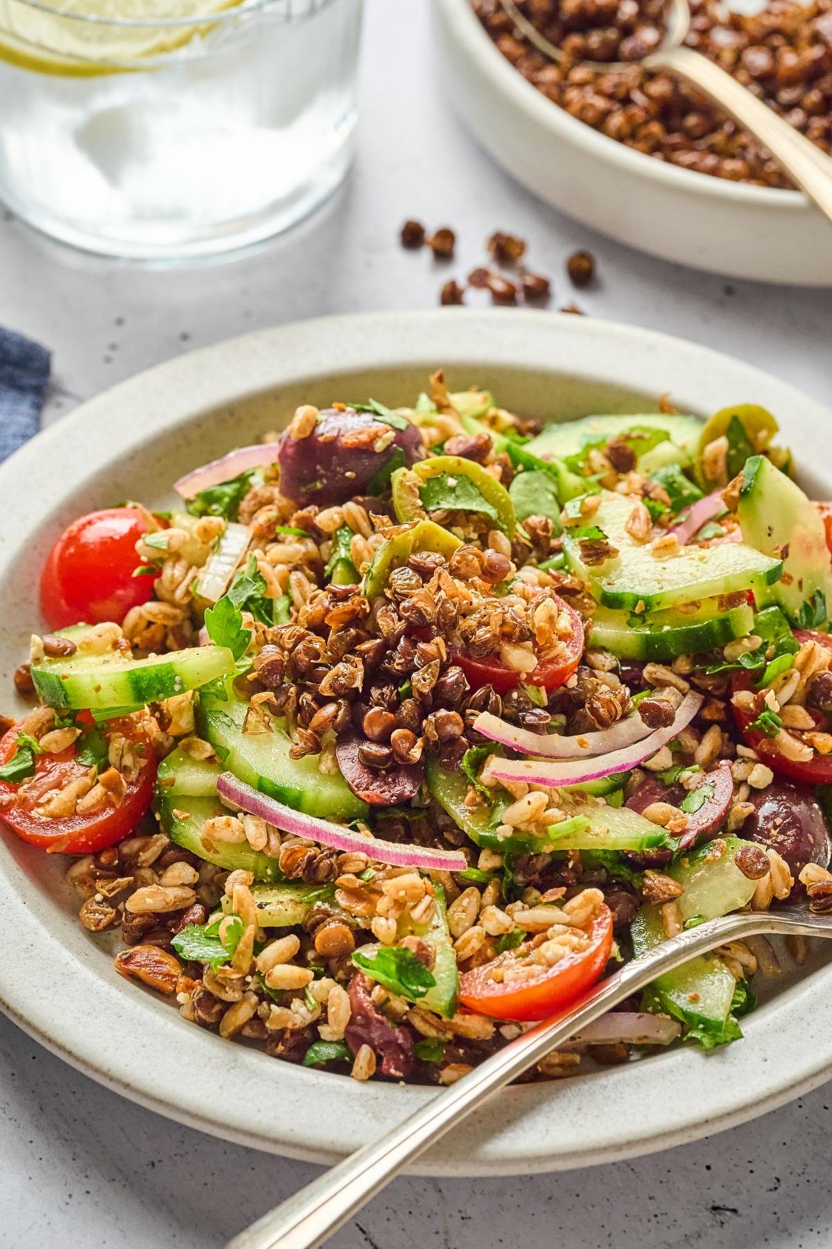 A bowl of fresh salad with cucumbers, tomatoes, lentils, red onions, olives, and herbs on a white plate.