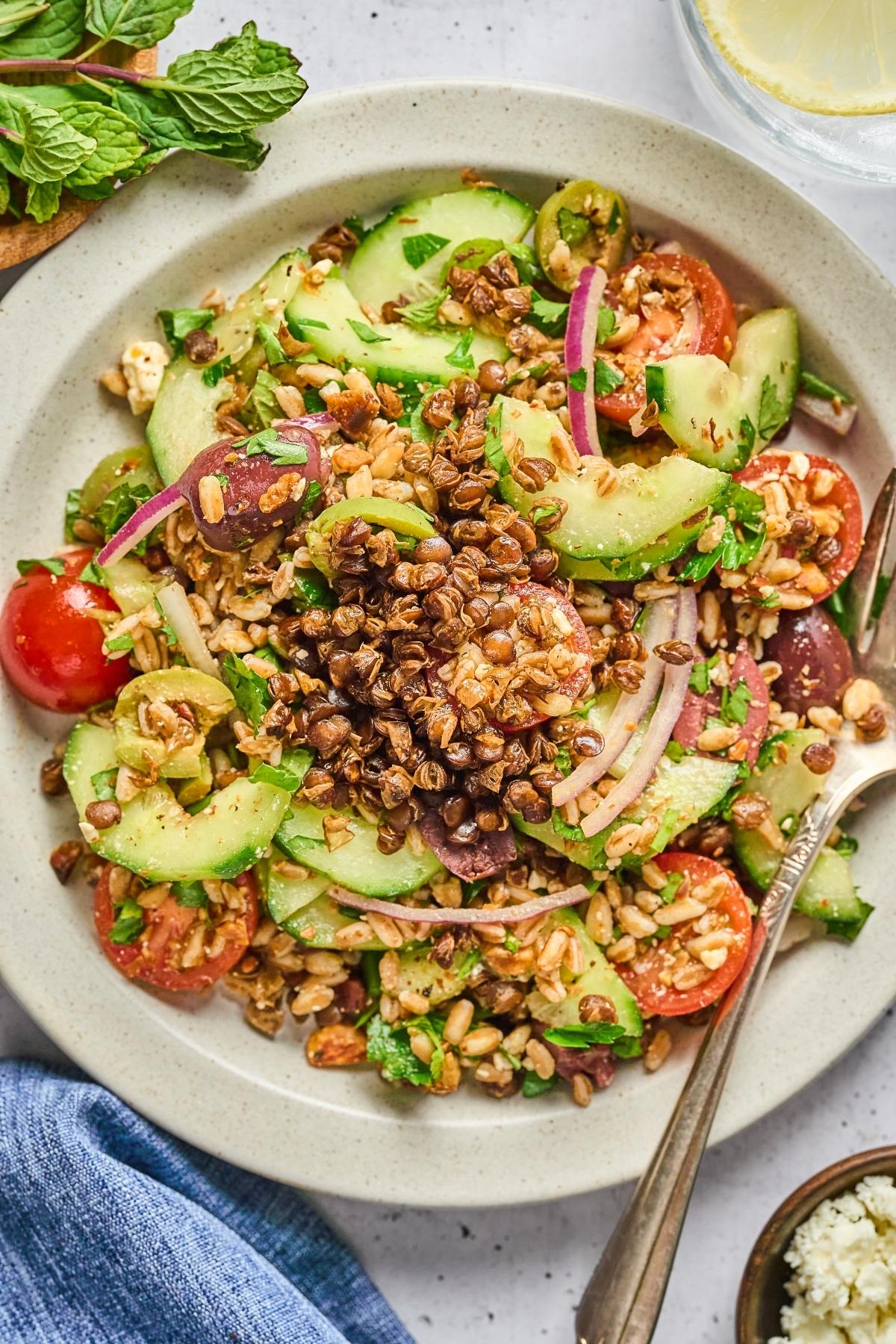 A plate of Mediterranean salad with lentils, cucumbers, tomatoes, red onions, olives, and fresh herbs.