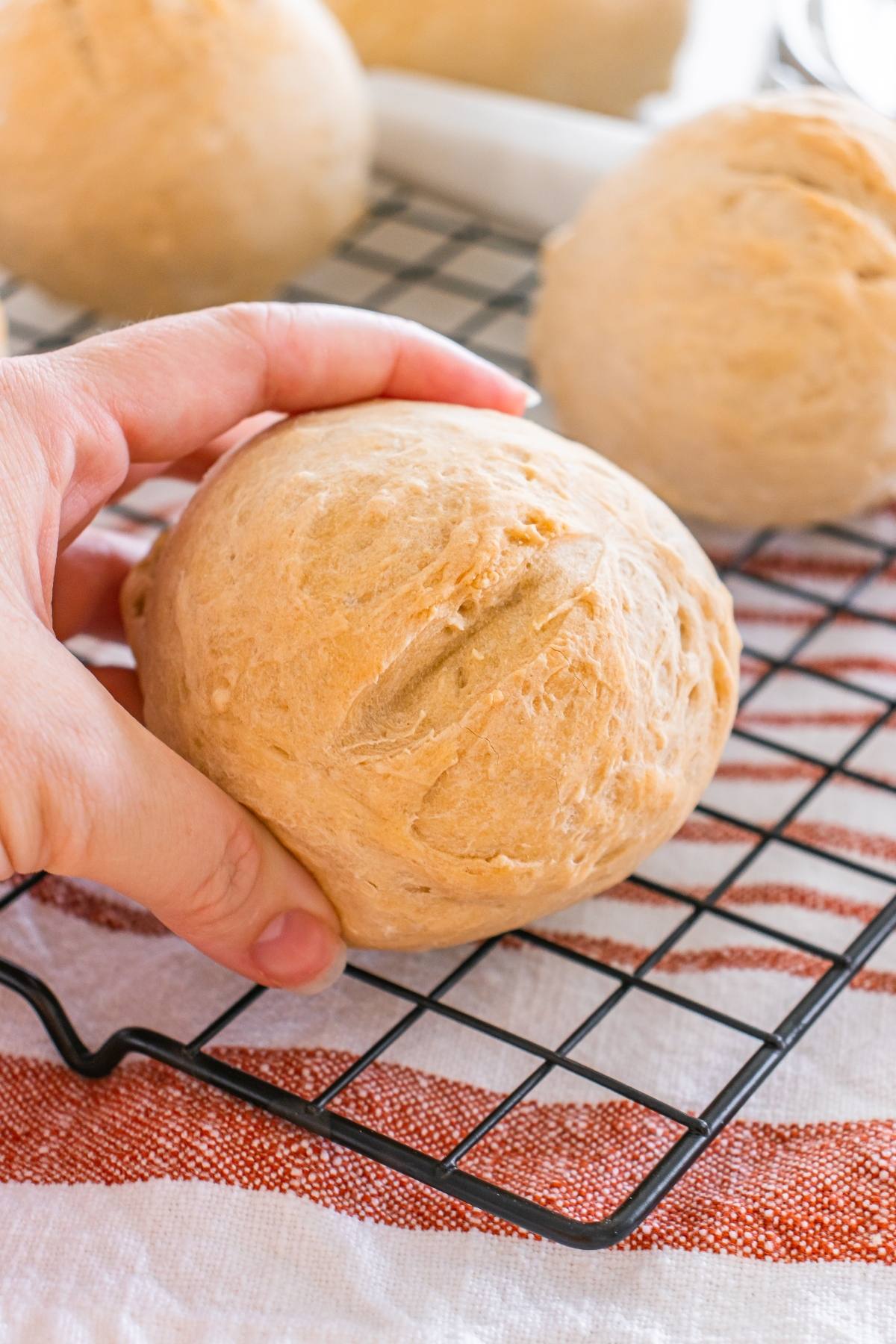 A hand holding a round bread roll on a cooling rack, with more rolls in the background.