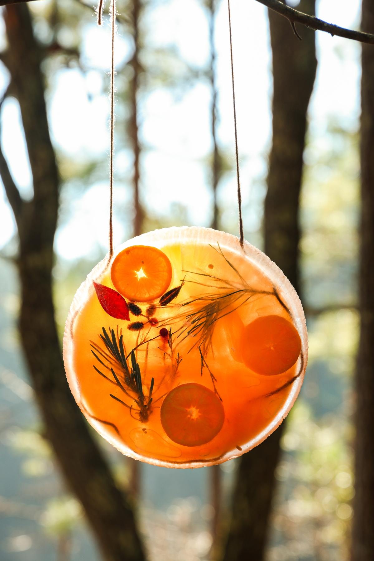A round sun catcher with orange slices, pine, and berries hangs outdoors in sunlight against blurred trees.