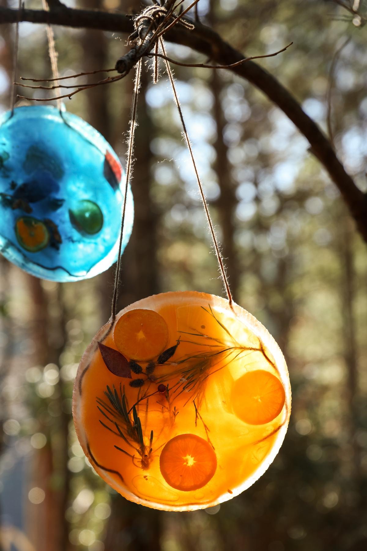 Two colorful sun catchers with dried orange slices and leaves hang from a tree branch in sunlight.