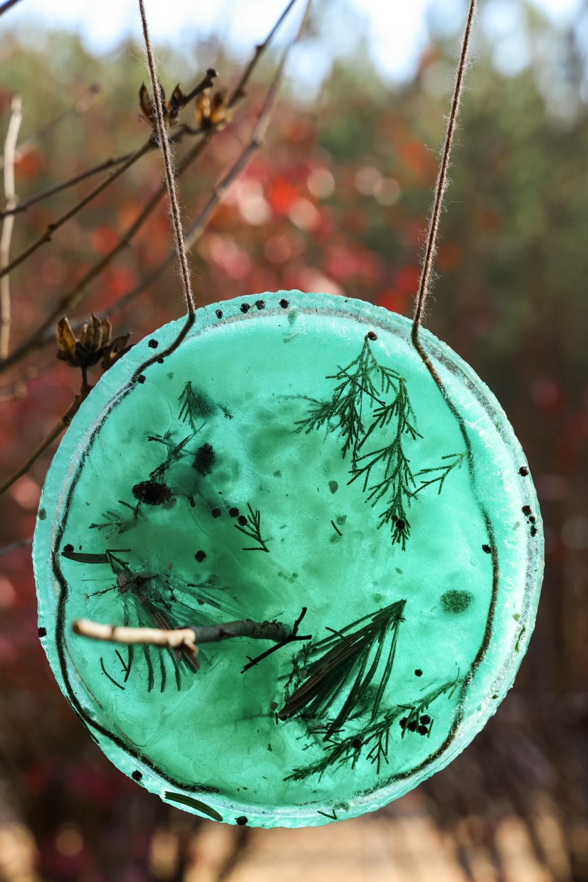 A round, green ice suncatcher with leaves and twigs, hanging outdoors by two strings.