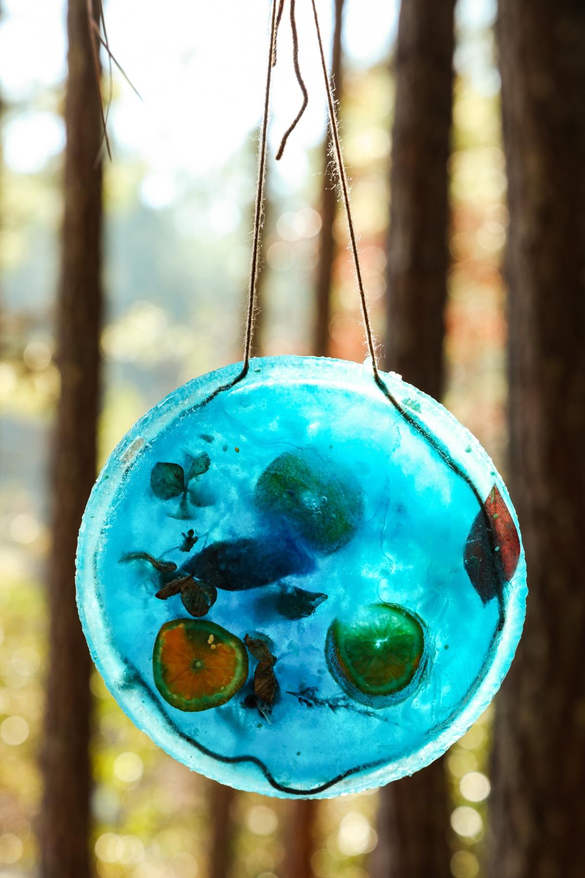 A round blue suncatcher with leaves and orange slices hangs by strings in a sunlit forest.