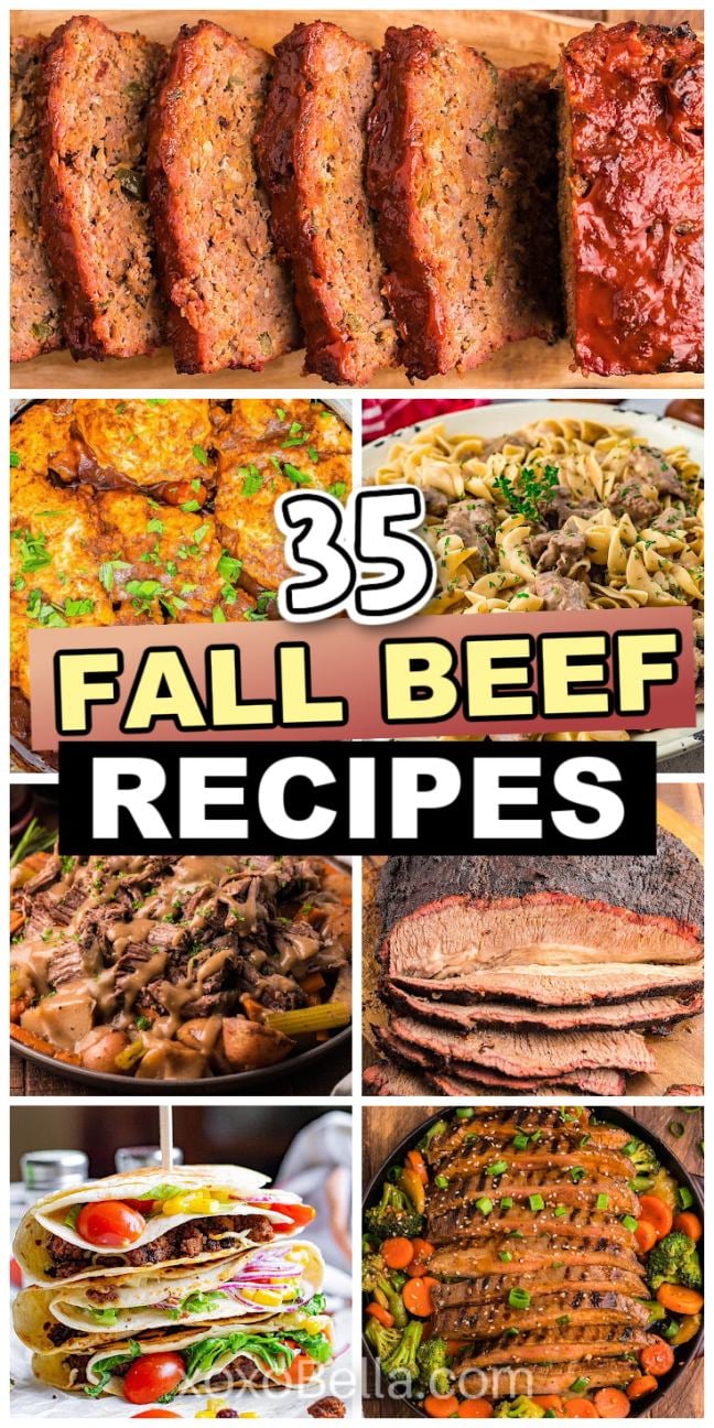 A mix of beef dishes including roasts, stews and skillet meals arranged on serving plates and bowls.